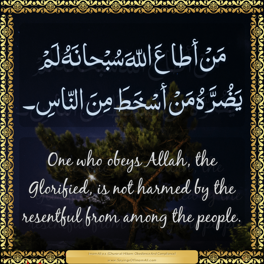 One who obeys Allah, the Glorified, is not harmed by the resentful from...